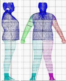 An investigation was made of the apparel fit experiences that participants with different body shapes had with a given category and size.
