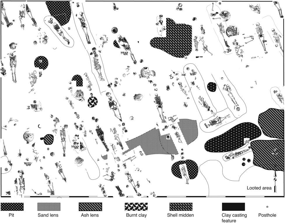 Figure 3 Plan of the Bronze Age 1 cemetery at Ban Lum Khao, with all non mortuary features identified. Scale in m. comes from the upper Mun Valley of the Khorat Plateau (FIG. 1).