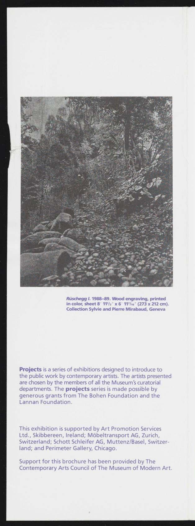 7/is Ruschegg 1.1988-89. Wood engraving, printed in color, sheet 8 HV2" x 6 11 (273 x 212 cm).