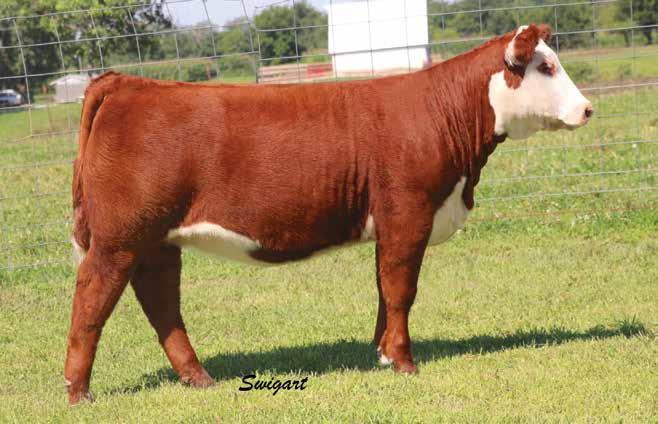 2, 2015 Tattoo: LE 502 A flat sweetheart to lead off this year s offering! Admired by many visitors and one of the best to ever lead off our catalog.