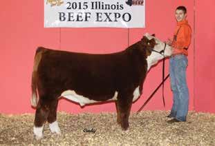 She s stout featured, massive middled and wide made, the kind that could stand to be flushed. Bred AI Nov.