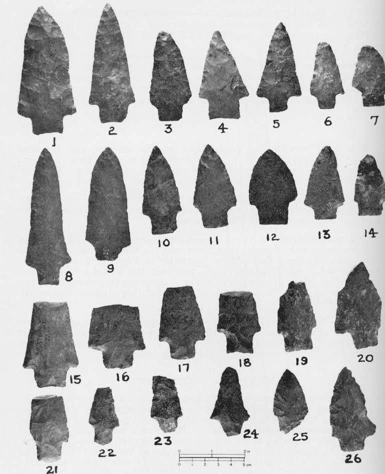 74 ONTARIO ARCHAEOLOGY No. 9 PLATE II GENESEE PROJECTILE POINTS 1 Sq. A 1, level II 2 Sq. B 11 10 Sq. A 23, level II 11 Sq. B 11, level II 18 Sq. A 24 19 Sq. A 21, level I 3 Sq. A 24, level II 12 Sq.