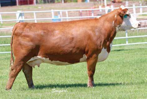 Headline Productive Donor Type Cows with Heifer Calves 18 LCC 911 GRETA GIRL 189 P43187603 Calved: April 4, 2011 Tattoo: LE 189 BR DM CHANNING ET {DLF,IEF} REMITALL ONLINE 122L