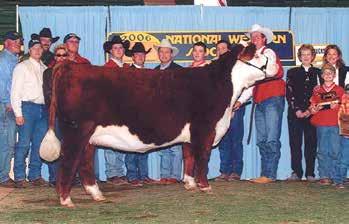 Huston Trans Ova Double Diamond American Hereford Association Most importantly a sincere thank you with