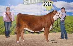LCC FBF Miss Sun Drop 5160 ET 2017 National Division Champion, Keystone and multiple National Class Winner Purchased by David