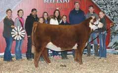 She sells as Lot 11 BLL MKL LCC Shes Perfect 232 2017 Reserve Champion Polled Female, IL Beef Expo Purchased by Hunter Family.