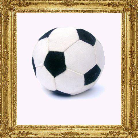 Dog Toys FOOTBALL CRAZY TOY Canvas Ball Hard wearing Suits