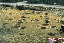 An Outline of the Urnfield Culture Period in Slovenia 107 activity, suburbium, and a settlement of different nature - Hajndl - in the immediate vicinity), exhibits accordingly certain characteristic