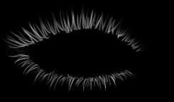 d) Eye Brow Eye Shadow Eye Lash Foundation Blush Lipstick Fig. 3.