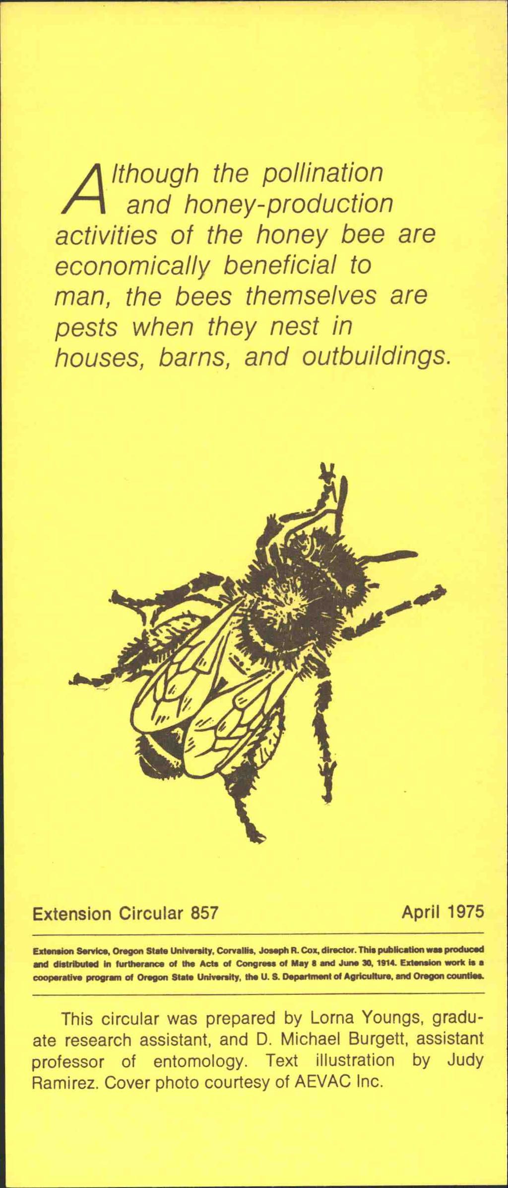 Although the pollination and honey-production activities of the honey bee are economically beneficial to man, the bees themselves are pests when they nest in houses, barns, and outbuildings.