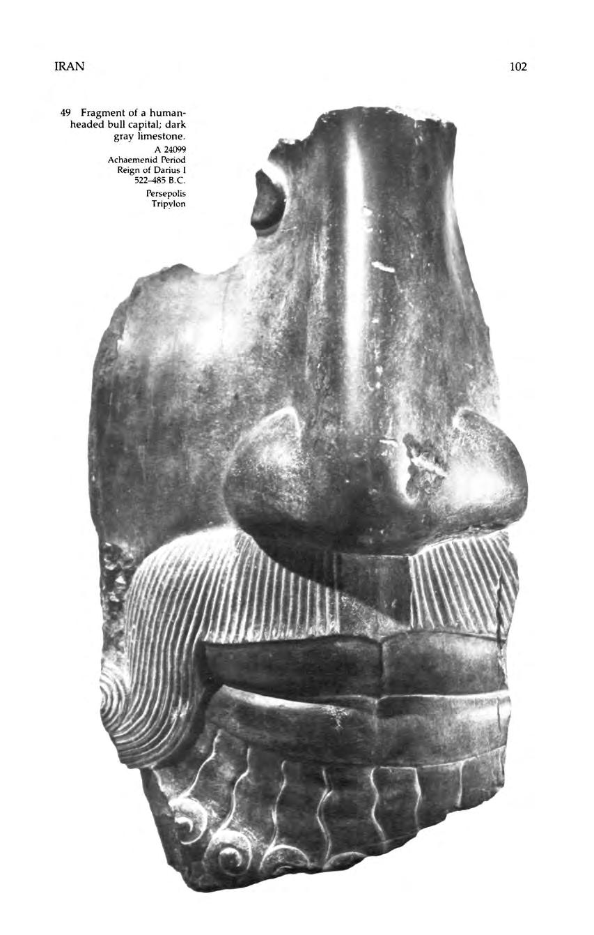 IRAN 102 49 Fragment of a humanheaded bull capital; dark gray limestone.