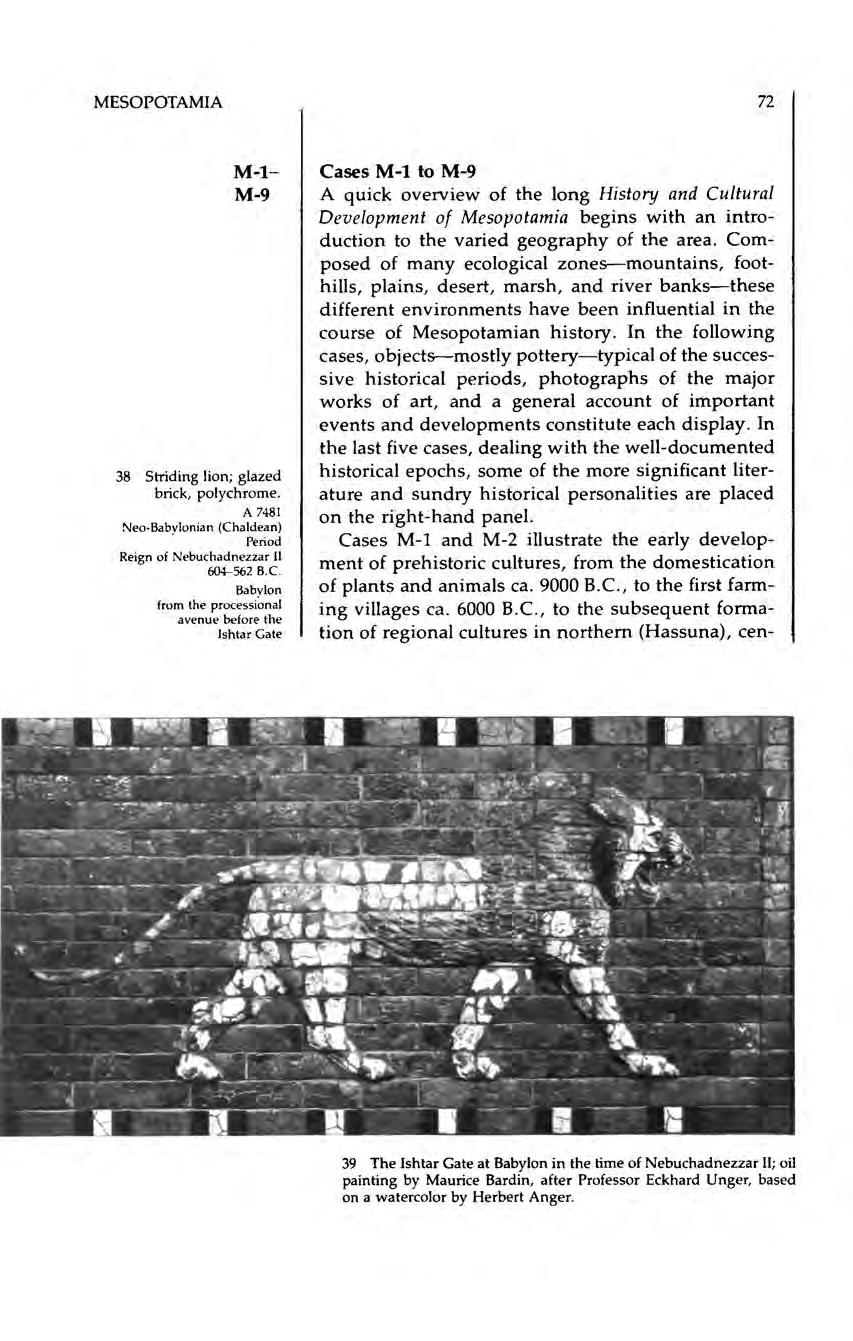 MESOPOTAMIA 72 M-l- M-9 38 Striding lion; glazed brick, polychrome. A 7481 Neo-Babylonian (Ch