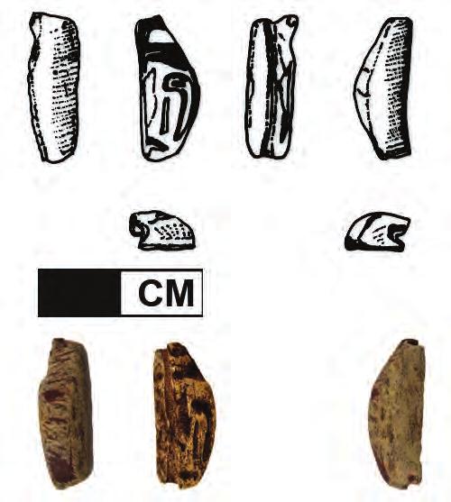 The Pataikos amulet described below was found in Structure 2, Room 8.