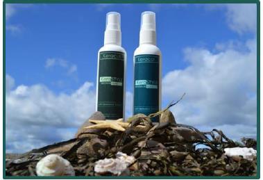 Seaweed produced from sustainable seaweed sources growing naturally