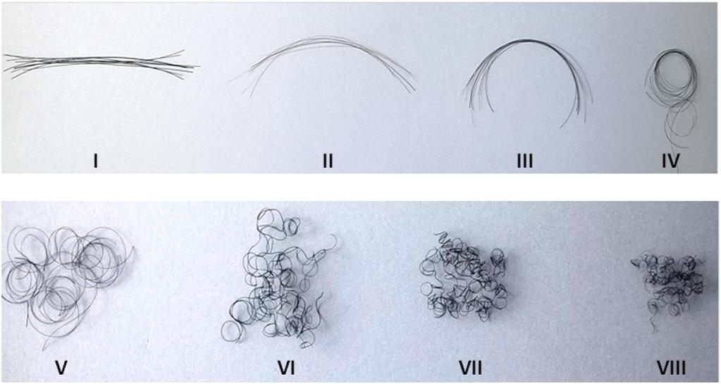 Geometric classification of scalp hair Fig 2. Demographics of sample population (n = 128) across 8 hair curl groups.