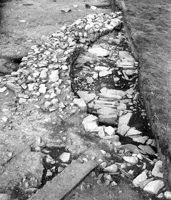 THE EXCAVATION OF A COASTAL PROMONTORY FORT AT PORTH Y RHAW 71 Roundhouse VII Arcs of two gullies with estimated diameters of 9 10m underlay elements of Roundhouse VIII to the north. Both were c. 0.