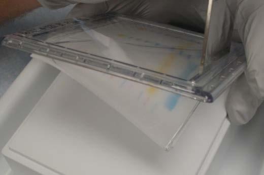 Invert the plate over your hand or a hard flat surface and separate the gel from the