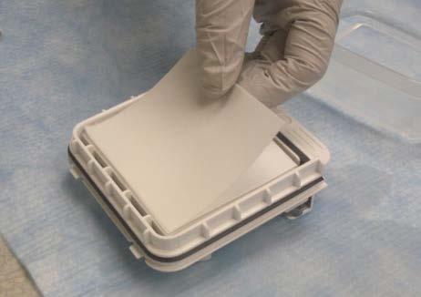 Wet a piece of filter paper in 1X Transfer Buffer and place it on top of the transfer membrane.