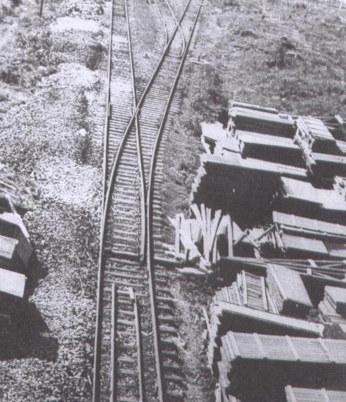 Fig 9 Photograph, Dismantled Barracks Awaiting Collection, Judenrampe, Auschwitz