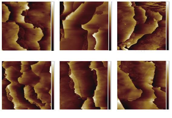 1592 Sensors and Materials, Vol. 29, No. 11 (2017) (a) (b) (c) (d) (e) (f) Fig. 2. (Color online) AFM images of human hair surface morphology after application of different hair oil formulae at different heat treatment times.