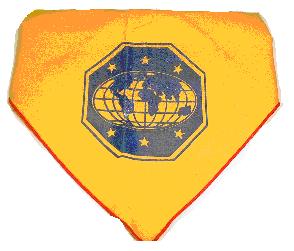 Master Guide emblem shall be royal blue in color with yellow background and measure 4 by 4.