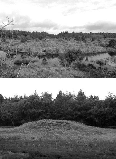 BRONZE AGE BARROWS ON THE HEATHLANDS OF SOUTHERN ENGLAND Figure 3 (Upper) The surviving remains of Beaulieu Heath Barrow 6, parts of which escaped destruction in the 1940s.