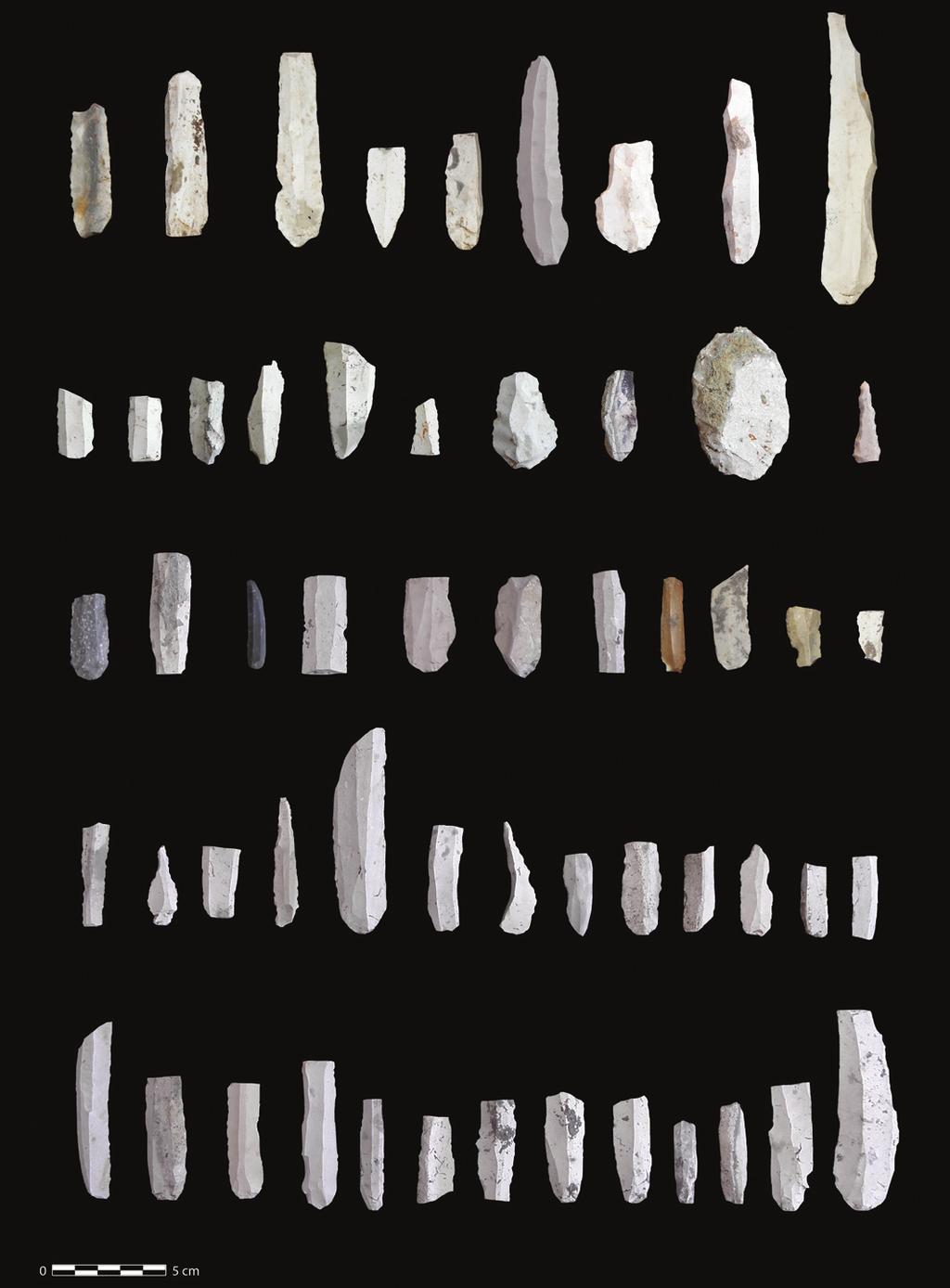 archaeologia adriatica vi (2012),