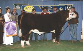 His dam is Annabelle, one of our leading donors that has produced numerous champions. This dam was division champion at the 2005 JNHE and Illinois State Fair Grand Champion.
