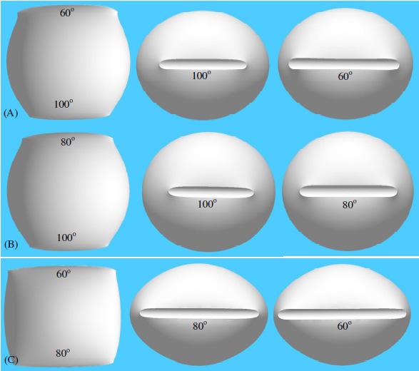 Figure 7. Simulated 0.3 µl droplet shapes between 75 µm fibers at 0.75 mm separation with contact angles of (A) 100 o vs. 60 o, (b) 100 vs. 80 o and (C) 80 o vs. 60 o, respectively.