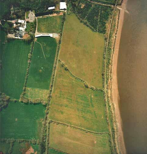 The Hiberno-Scandinavian site of Woodstown 6, County Waterford Illus.