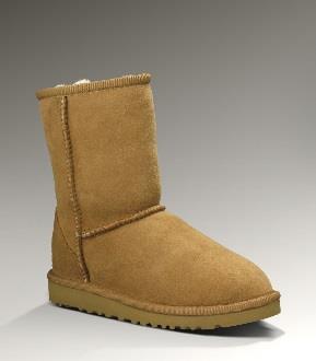 Approved Footwear: Plain Classic Ugg-style boots as