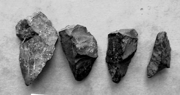 Figure 16: Farmstead 1, Roughan Hill, Co. Clare, pointed tools made of chert with visible polish on the pointed ends.