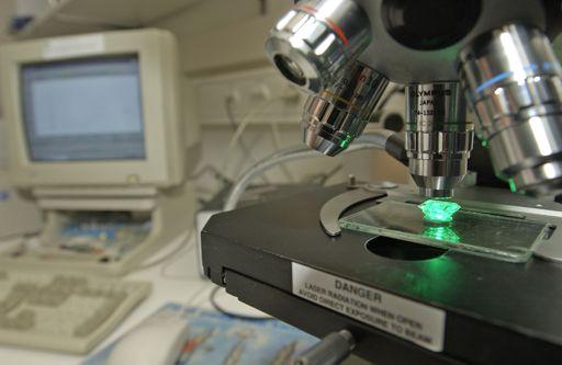 Raman microspectrometry Laser Ablation Inductively