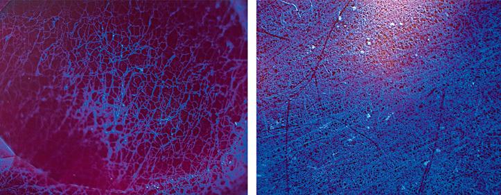 Figure 7. In these DiamondView images from the culet of the Wittelsbach-Graff (left) and table of the Hope (right), the texture of the mosaic patterns is much finer for the Hope (<100 µm vs. >200 µm).