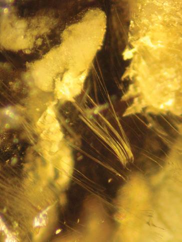 Figure 5. All the Val Malenco samples investigated for this study contained fine fibers of chrysotile in a horsetail arrangement, as is typical of demantoids occurring in serpentinite.