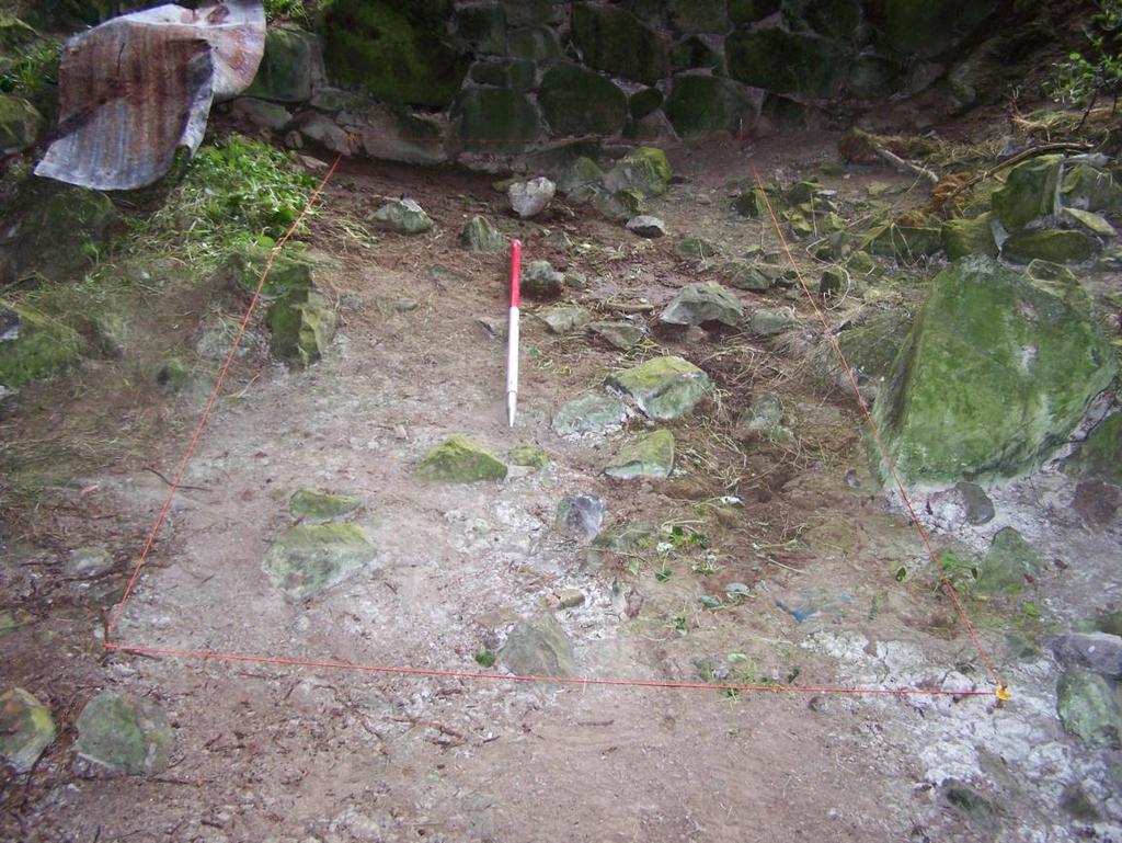 (Photo 1) Plate 10: Trench 2, pre-excavation with