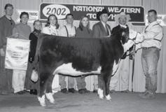 03 (P); REA 0.41 (P); MARB 0.01 (P); BMI$ 17; CEZ$ 17; BII$ 15; CHB$ 22 This top prospect combines the two best cow families at Purple Reign.