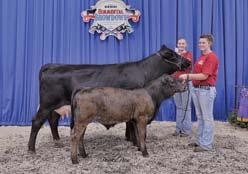 by SVF/NJC Mo Better M217; Calf, AMZ Promise A15, s. by ZKCC Chopper 844U, exh. by Aaron Zimmerman, Spencer, WI. 7.