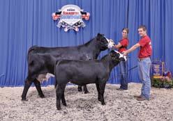 Beauty Star W81, s. by SC Jet Star S48; Calf, KSIG Penelope 15A, s. by CNS Dream On L186, exh.