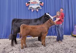 Cow, AK/NDS Steel N U R Love, s. by SVF Steel Force S701; Calf, AK/NDS Hard to Love, s. by AK/NDS Trade Show XW06, exh.