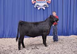 (Continued from page 33) Percentage Simmental Bred & Owned Cont. 17. TTSJ Jiggs Z003, s.