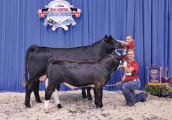 21/94/61 2. Cow, CFSR Gracey, s. by CNS Dream On L186; Calf, CFSR Whodini, s.