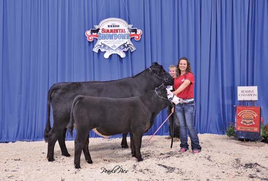 by STF Shocking Dream SJ14; Calf, 4-W Obsessor 13A, s. by B C Lookout 7024, exh.
