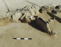according to comparisons with pottery from Khatt and Kush in Ras al-khaimah, UAE (see Chapter 3). Phase 2: A pre-islamic burial The poorly-preserved remains of a human skeleton (AK2.