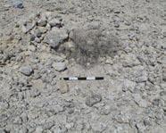 1037 Large mound of stones (diam. 4.65 m). Mostly fragments of beach rock slabs. AK1.1017 AK1.