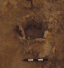 The hearth was lined at the bottom with five additional stones (210) laid flat to form a level surface. An area approximately 2.0 2.