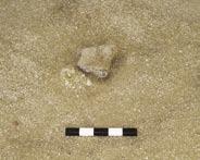 40 Post hole? Visible in plan and to some depth. A small, roughly ovoid cut (0.21 0.10 m) with a mid-brown silty sand fill. In the centre lies a single upright stone (th. 0.03 m) which protrudes 0.