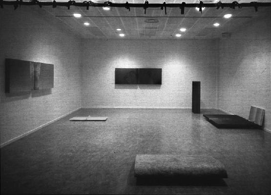 _Insides, 1993 installation behind