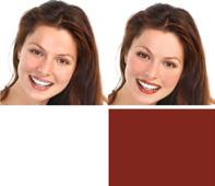 Trio All Spice Mineral Blush Temptress Color Renew Lipstick Autumn Seasonal Swatch