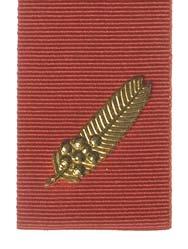 The ribbon bar device is worn horizontally in a central position on an ochre-red ribbon. 17.